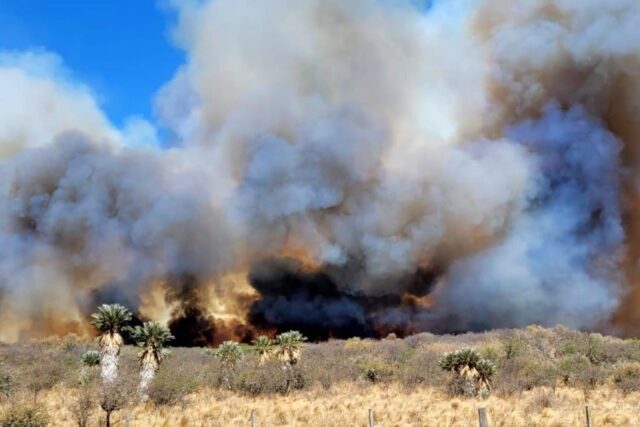 Otro incendio de gran magnitud se desató en Córdoba-La Ola Digital