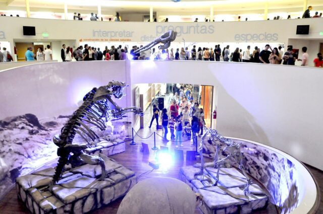 Museos en verano