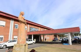 Detuvieron la la exdirectora del Neonatal