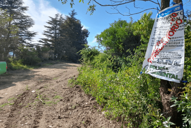 Policía Ambiental intervino ante daños forestales en La Falda y Río Tercero-La Ola Digital