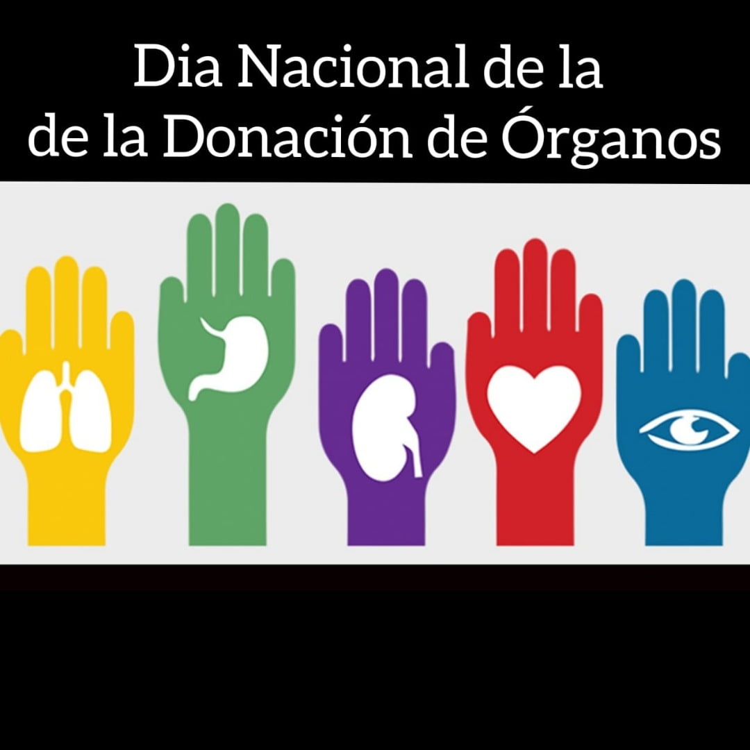 30 de mayo: Día Nacional del Trasplante de Órganos