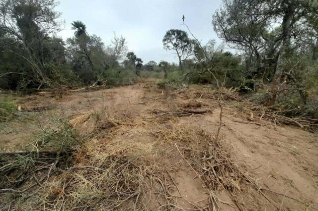 Policía Ambiental frenó tres desmontes en el norte y noroeste provincial-La Ola Digital