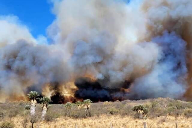 Lograron contener el incendio de Potrero de Garay-La Ola Digital