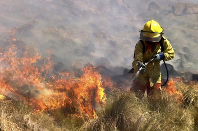 Se logró contener la mayoría de los incendios-La Ola Digital