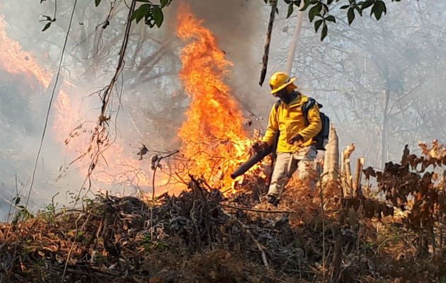 Hasta el lunes, rige un alerta de riesgo de incendio extremo en toda la provincia-La Ola Digital