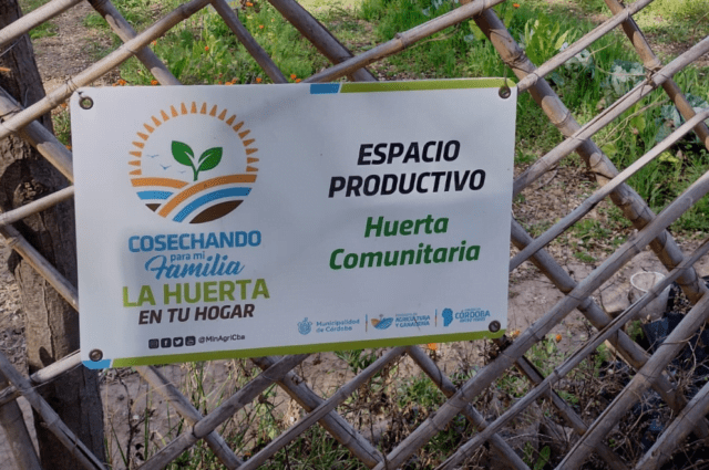 Entregarán 45.000 kits de semillas a familias e instituciones-La Ola Digital