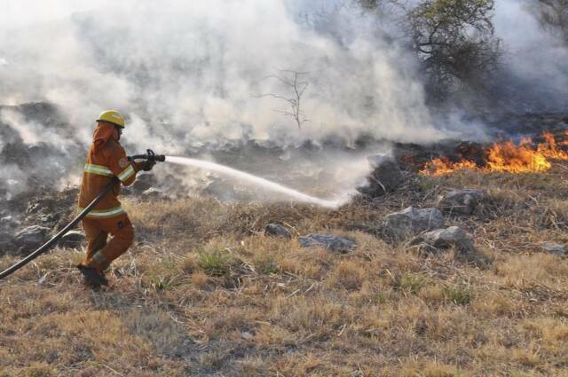 Bomberos combaten un intenso incendio forestal en José de la Quintana-La Ola Digital