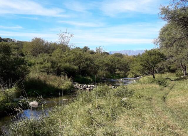 Con dos nuevas áreas protegidas, Córdoba ya suma 27 reservas naturales-La Ola Digital