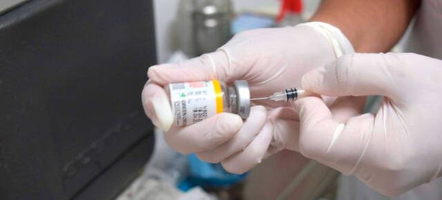 Atención viajeros: Salud recuerda la importancia de vacunarse contra la fiebre amarilla-La Ola Digital