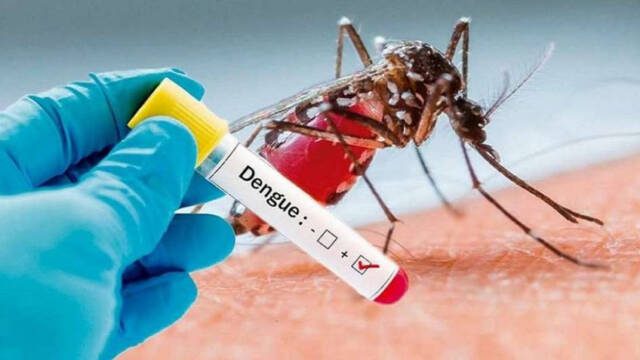 Se confirmó un nuevo caso de dengue autóctono en Córdoba-La Ola Digital