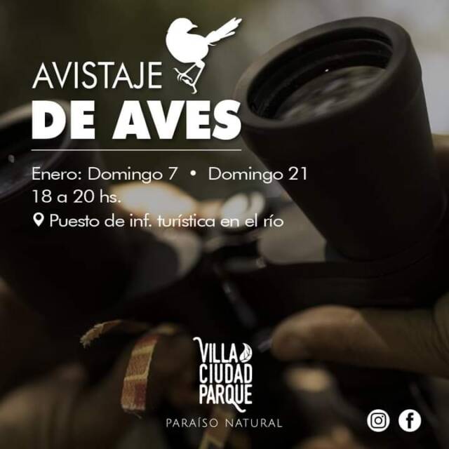 Avistaje de aves en Villa Ciudad Parque