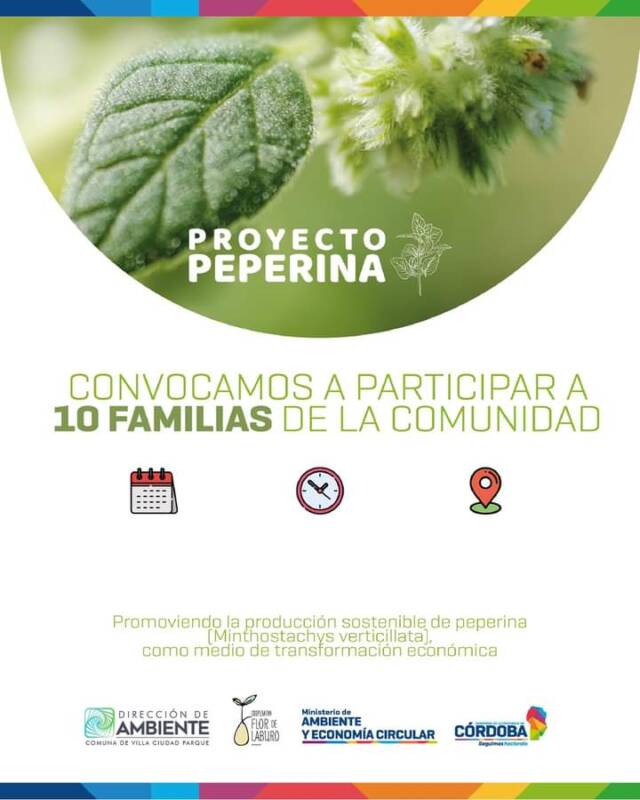 Villa Ciudad Parque: Proyecto Peperina