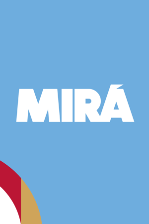 300x450-seguridad-2025-12-29