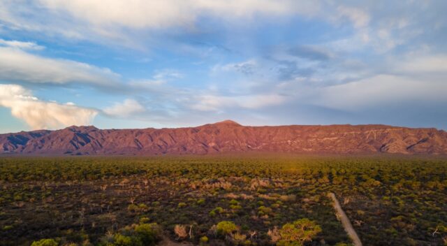 Picadas perimetrales y fajas cortafuego limpias: cómo prevenir incendios forestales-La Ola Digital