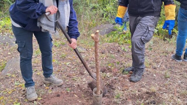 Continúan las acciones en el marco del “Proyecto Embalse”-La Ola Digital