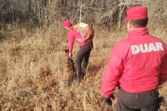 Caso Dora Novas: Tercer día de búsqueda sin resultados-La Ola Digital