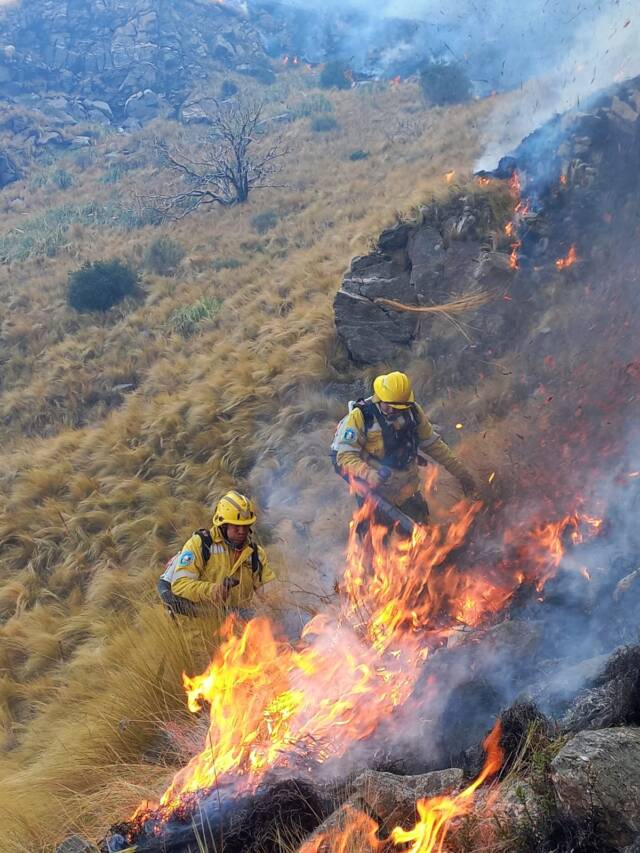Alrededor de 100 bomberos luchan contra el incendio del Champaquí-La Ola Digital