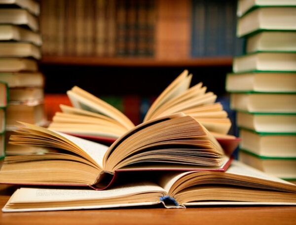 Plan Provincial de Lectura: distribuyen más de 50 mil libros en escuelas de toda la provincia-La Ola Digital