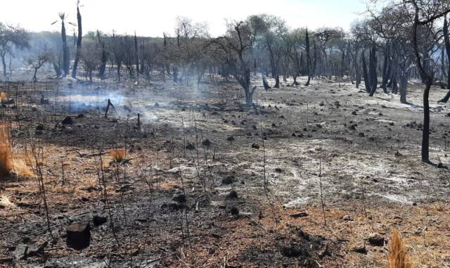 Guardia de cenizas en cuatro incendios