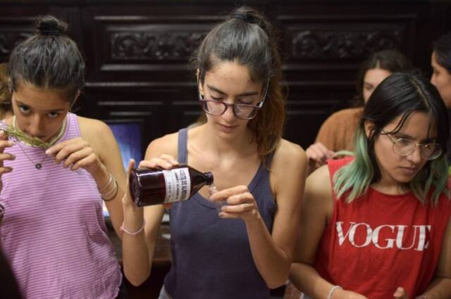 Ciclo de talleres de Emprendedurismo Verde