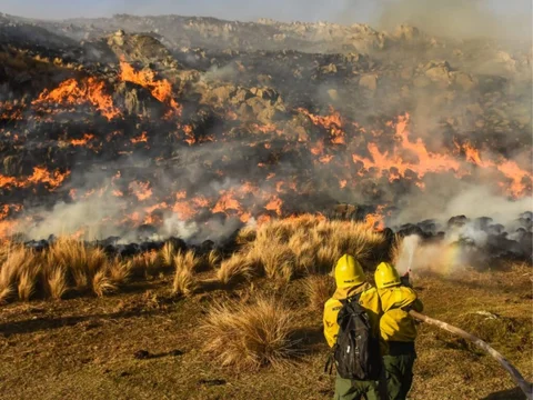 Los incendios azotan diferentes puntos de la provincia