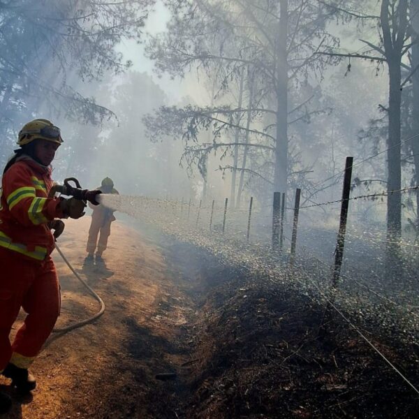 El Durazno: siguen los trabajos de enfriamiento en el perímetro del incendio -La Ola Digital