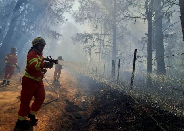 El Durazno: siguen los trabajos de enfriamiento en el perímetro del incendio -La Ola Digital