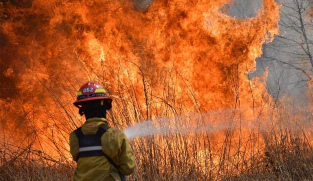 Bomberos de Calamuchita luchan contra el fuego entre Los Reartes y Villa Berna-La OLA Digital