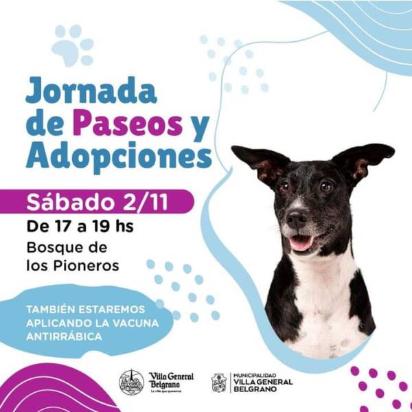 VGB: Jornada de Paseos y Adopciones de perros