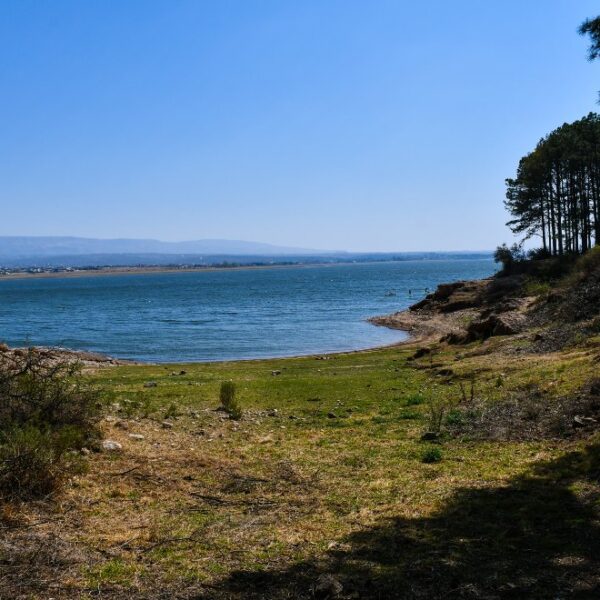 El Ministerio de Ambiente y Economía Circular inauguró el Pulmón Verde Costa Los Molinos-La Ola Digital