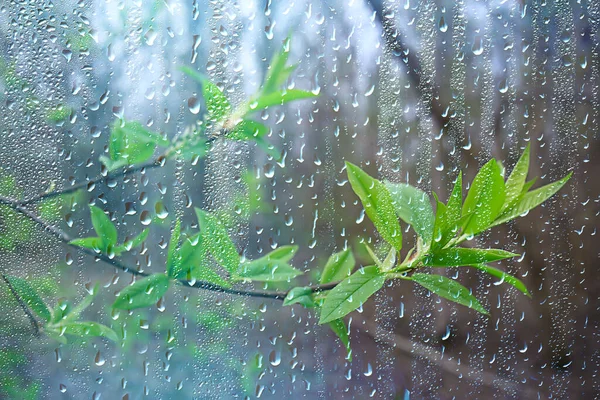 Alerta por tormentas fuertes para Calamuchita-La Ola Digital