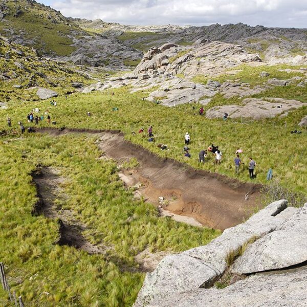 Ambiente entregó fondos a organizaciones que restauran las sierras con tabaquillos-La Ola Digital