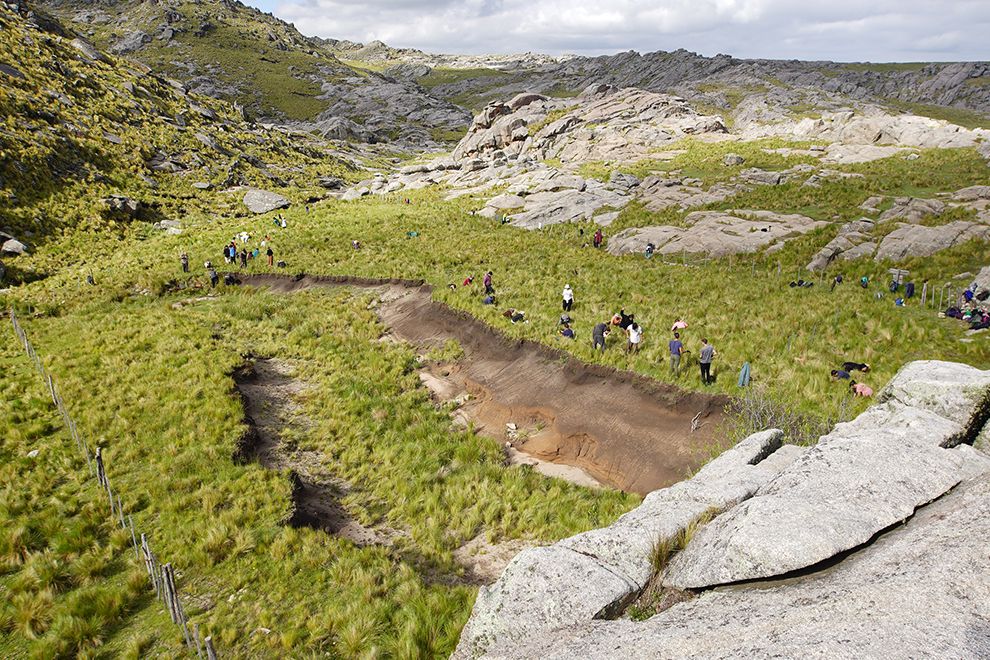 Ambiente entregó fondos a organizaciones que restauran las sierras con tabaquillos-La Ola Digital