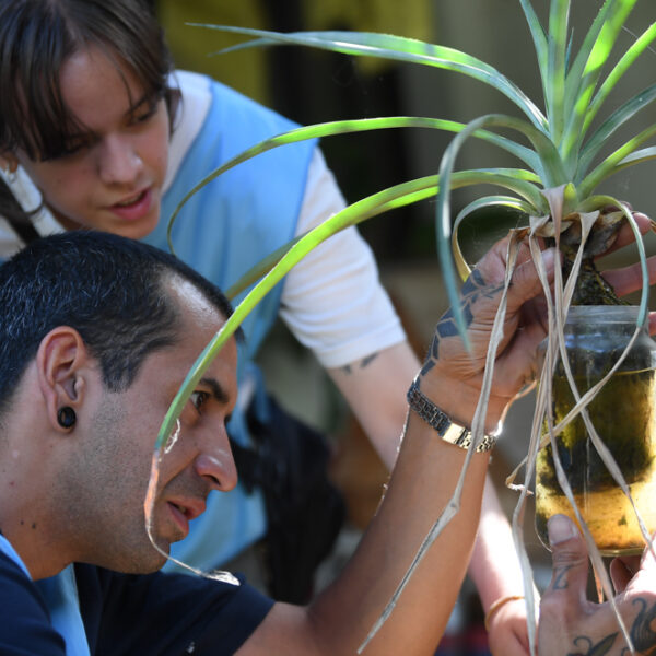 Monitoreo de noviembre: se detectaron larvas de Aedes Aegypti en 6 de cada 100 casas visitadas-La Ola Digital