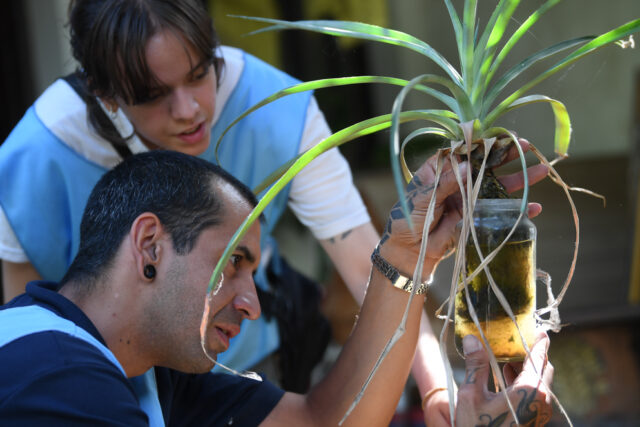 Monitoreo de noviembre: se detectaron larvas de Aedes Aegypti en 6 de cada 100 casas visitadas-La Ola Digital