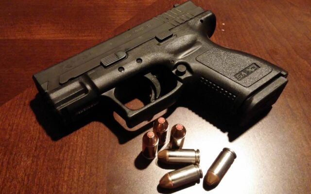 Fueron detenidos con armas de fuego mientras intentaban robar en un country de Santa Rosa-La Ola Digital
