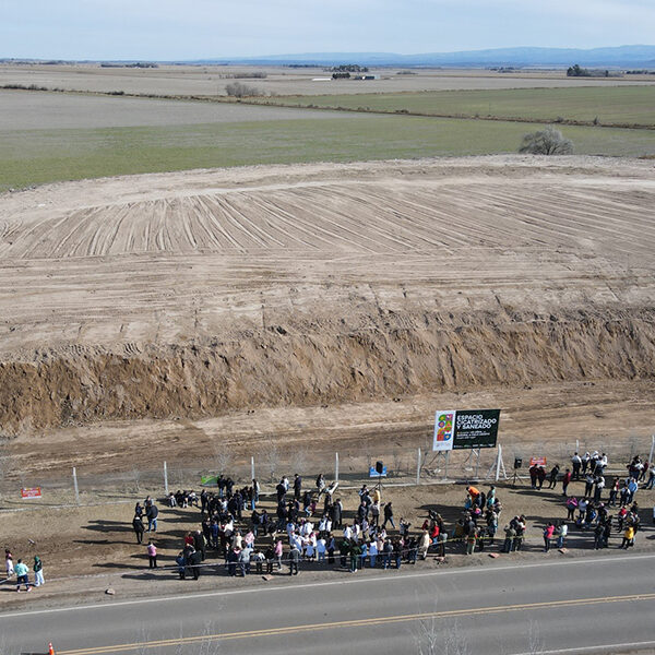 Ambiente: avanza la cicatrización de basurales en el interior provincial-La Ola Digital