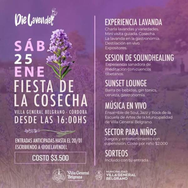 VGB y la Fiesta de la Lavanda