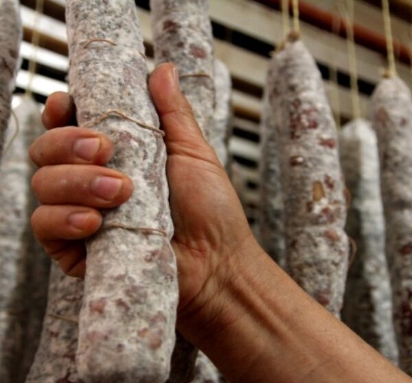 Se notificaron 14 nuevos casos de triquinosis en la provincia-La Ola Digital