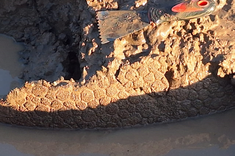 Hallazgo en Pampayasta: descubrieron restos de un gliptodonte -La Ola Digital