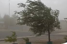 Destrozos por la tormenta de viento en Córdoba