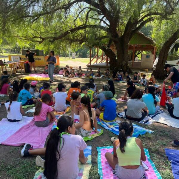 Plan Educativo de Verano