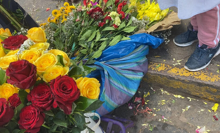 El Museo de las Mujeres inaugura su programación 2025