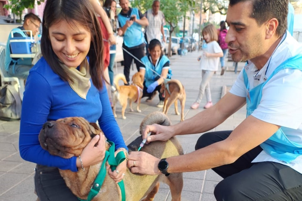 Campaña gratuita de vacunación y desparasitación de mascotas