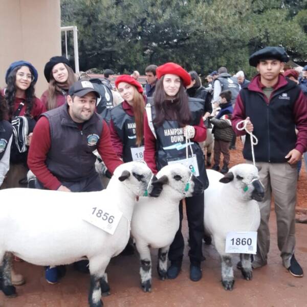 Exposición Rural de Palermo: un escuela rural de Córdoba fue premiada