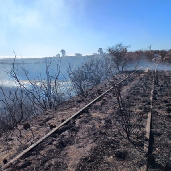 Está contenido el incendio desatado en jurisdicción Despeñaderos-La Ola Digital