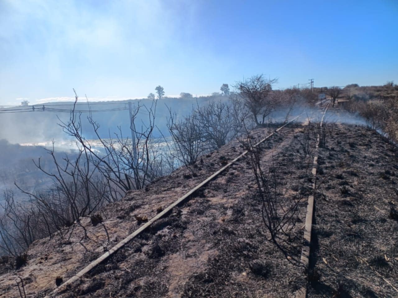 Está contenido el incendio desatado en jurisdicción Despeñaderos-La Ola Digital