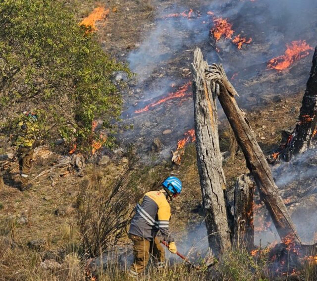 Se combate un incendio en la zona de Pampa Alta-La Ola Digital