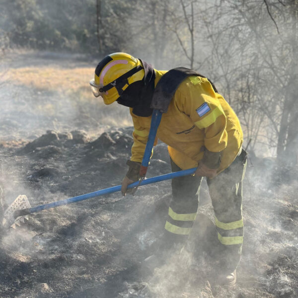 Cinco hectáreas se quemaron aproximadamente en Los Reartes-La Ola Digital