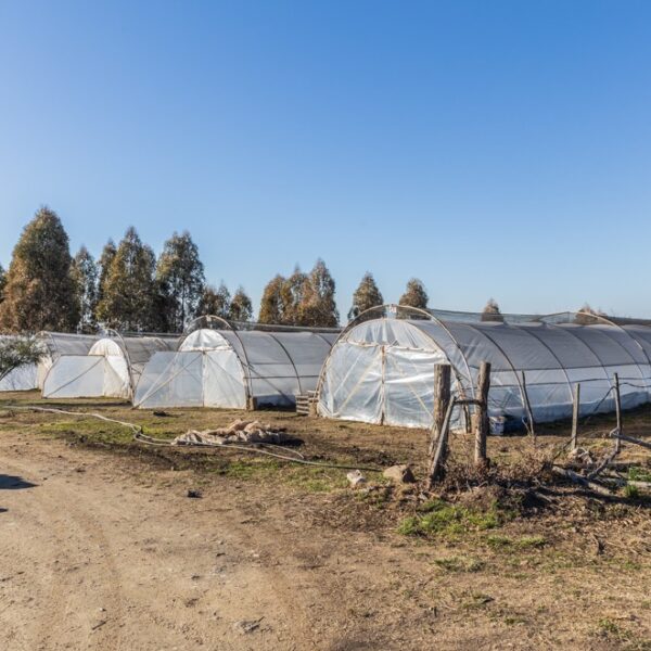 Calamuchita: fondos para la construcción de un Centro Verde y compra de maquinaria-La Ola Digital